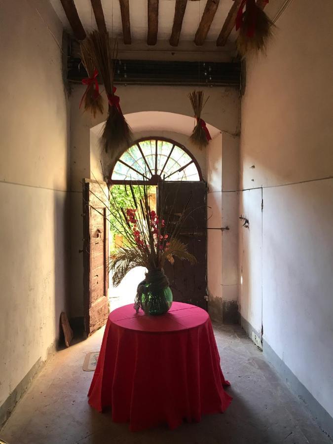 Suite Romantica Con Giardino In Dimora Storica - Camera E Appartamento - B&B Palazzo Robicci Castiglion Fiorentino Eksteriør billede
